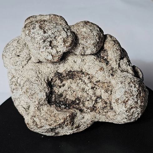 Ambergris Connect Identify Ambergris